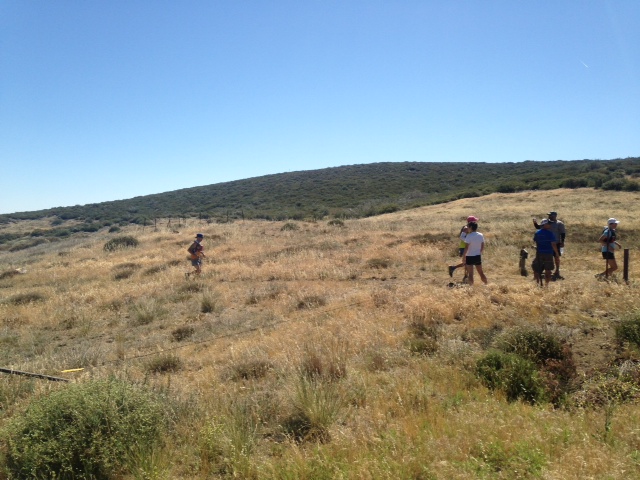 Photo by Jimmy McCarthy