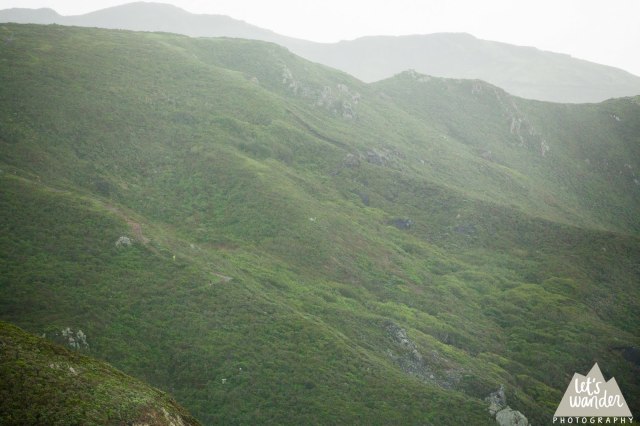 Wet and misty Headlands (photo courtesy of Jesse Ellis, Let's Wander Photography)