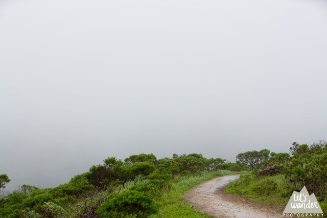 Out into the fog (photo courtesy Jesse Ellis, Let's Wander Photography)