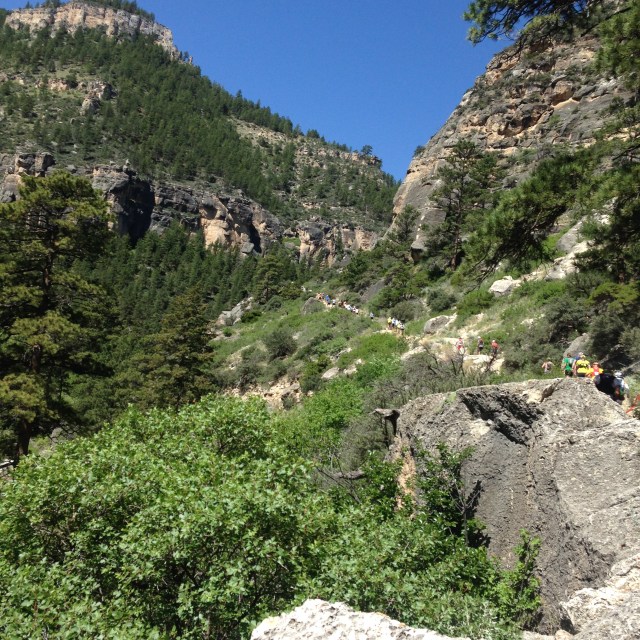 It's not not pretty.