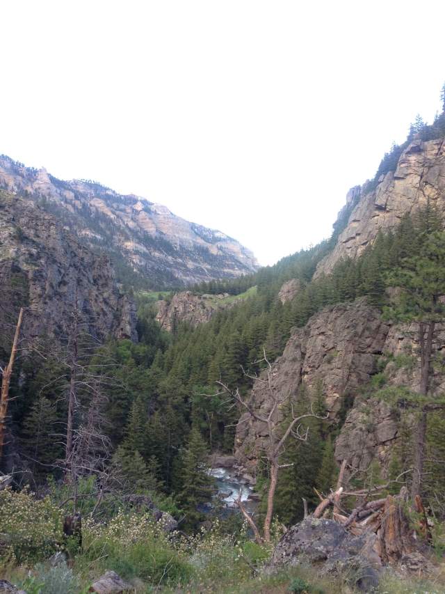 Everywhere I looked I saw beauty.