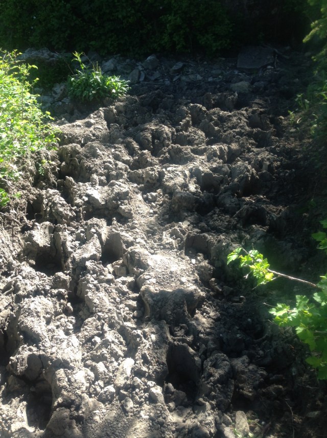 Look at this trail...