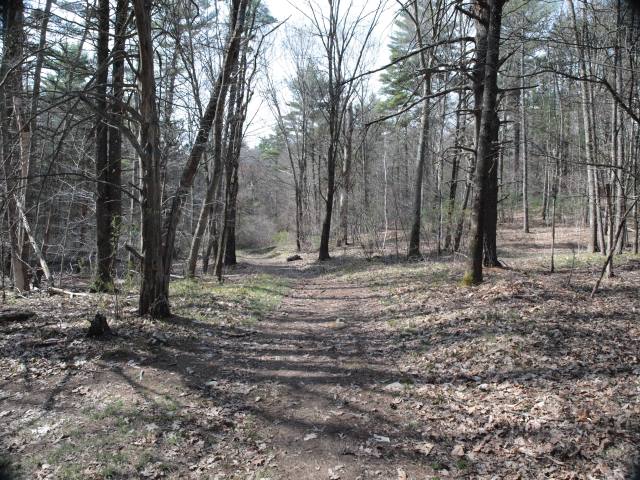 ...and some Willowdale fire road.