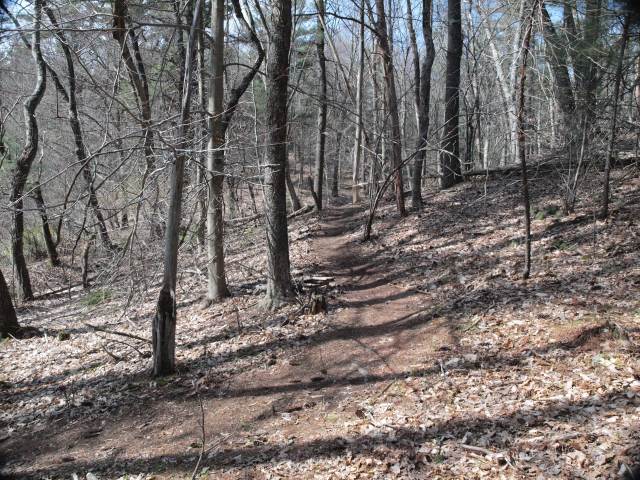 A little Willowdale single track